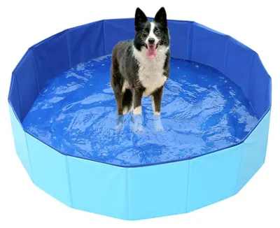 Immagine prodotto di Piscina pieghevole per cani, 100 cm, con sistema di scarico