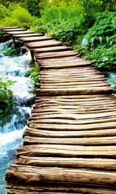 Produktbild von Fototapete - Boardwalk 150x250cm - Vliestapete