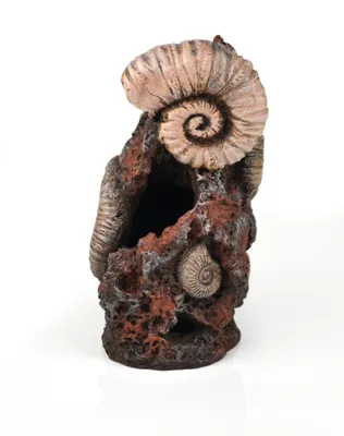 Produktbild von biOrb Muschelbaumstumpf Ornament