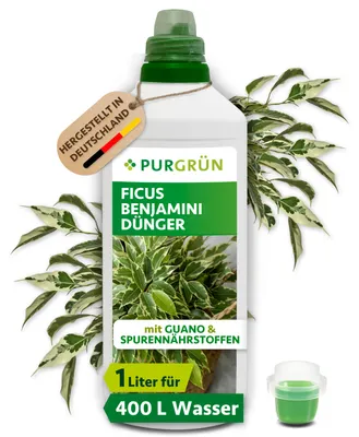 Produktbild von Purgrün Ficus-Benjamini-Dünger 1 Liter