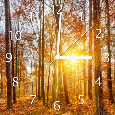 Produktbild von Wallario Design Wanduhr Sonnenuntergang im herbstlichen Wald aus Echtglas, Größe 30 x 30 cm