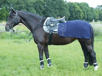 Produktbild von BUSSE Trainingsdecke Fly Fliegendecke Navy 135