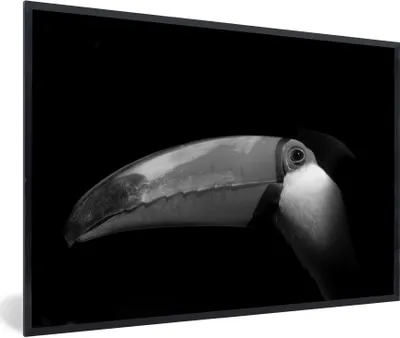 Produktbild von MuchoWow® Gerahmtes Poster Riesentukan auf einem schwarzen Hintergrund - schwarz und weiß 30x20 cm - Poster mit Schwarzem Bilderrahmen Wandposter Rahmen Foto Bilder - Kunstdruck - Bild-Poster