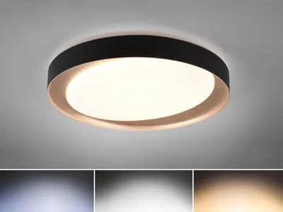 Produktbild von TRIO ZETA, 1 Glühbirne(n), LED, 2000 lm, IP20, Schwarz