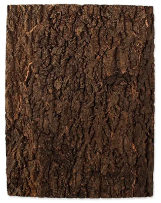 Image de Fond en liège naturel 43,5 x 56 x 2 cm 1 pièce