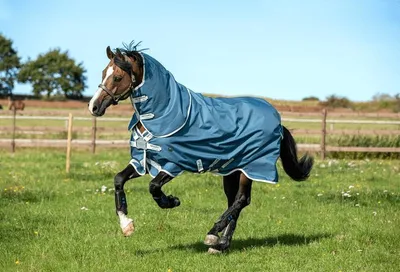 Produktbild von Horseware Ireland Outdoordecke 0g Amigo AmEco Bravo 12 Plus Turnout Regendecke Teal / Grey 145 (6'6)