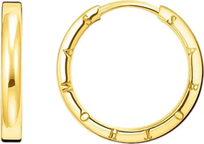 Produktbild von Thomas Sabo Ohrring CR685-413-39