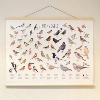 Productafbeelding van - Vogelbescherming Nederland