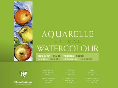 Obrázok produktu pre Clairefontaine 96464C, Umelecká papierová podložka, 300 g/m², 25 listy