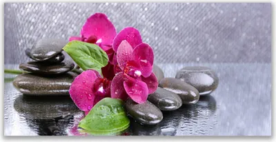 Produktbild von Tulup Leinwand-Bilder 120x60 Wandbild Canvas Kunstdruck Blumen Steine Kunst