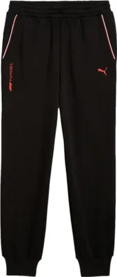 Produktbild von Hosen Puma F1 Ess+ 63012301