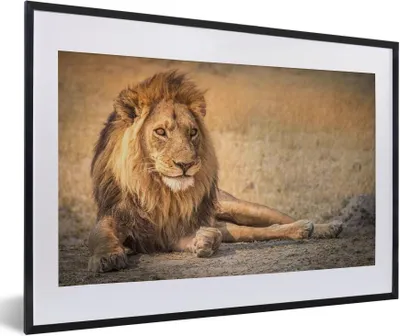 Produktbild von MuchoWow® MuchoWow® Gerahmtes Poster Löwe - Nahaufnahme - Savanne 60x40 cm - Poster mit zchwarzem Bilderrahmen - Schlafzimmer - Plakat in Rahmen - Drucken