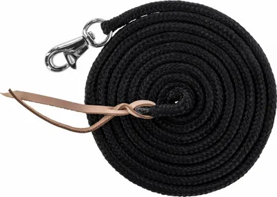 Produktbild von Covalliero Bodenarbeitsseil schwarz mit Bull Snap, Größe:4 m