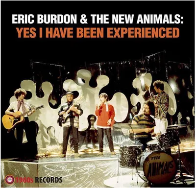 Produktbild von Yes I Have Been Experienced