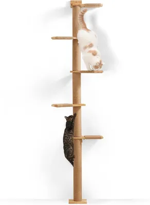 Productafbeelding van Krabpaal tot aan het plafond - 206 cm - 5 etages - wandmeubel van rubberhout - kattenboom voor katten