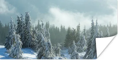 Produktbild von MuchoWow® Poster Wald - Schnee - Winter 40x20 cm - Poster für die Wand - Poster Schlafzimmer
