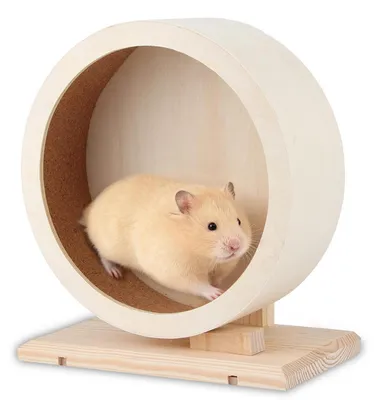 Immagine prodotto di Ruota per criceti in legno, diametro 25 cm, con inserti in sughero e base di supporto