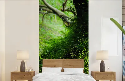 Produktbild von MuchoWow® Fototapete für Wohnzimmer oder Schlafzimmer Wandtapete Vinyl Motivtapete Glühwürmchen in einer grünen Landschaft während der Tageslichtstunden - 120x240 cm - Hintergrundbild