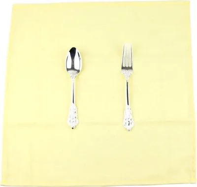 Obrázok produktu pre Jedálenské obrúsky 40 x 40 cm DINER, látkové