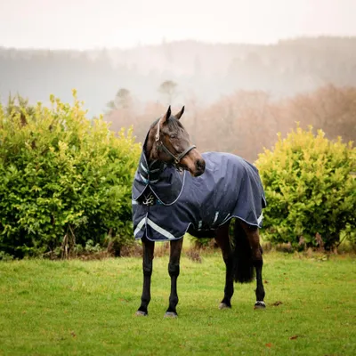 Image de Horseware Rambo Duo Force Turnout 100g + 100g + 300g - Navy/Navy, 160