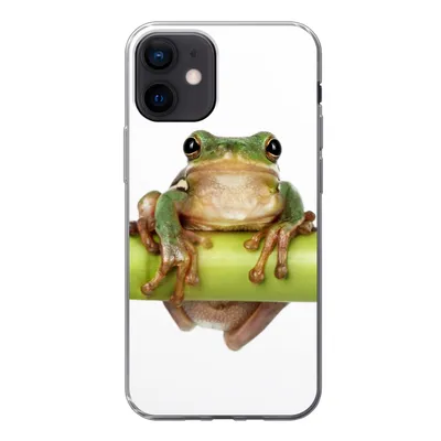 Produktbild von MuchoWow® Handyhülle Schutzhülle Hülle für iPhone 12 Frosch - Bambus - Weiß Silikon Softcase Handy Hülle - Schutzhülle