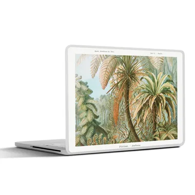 Produktbild von MuchoWow® Laptop Aufkleber Sticker Cover Vintage - Alte Meister - Farne - Pflanzen - Natur 25x18 cm - Laptop-Deko
