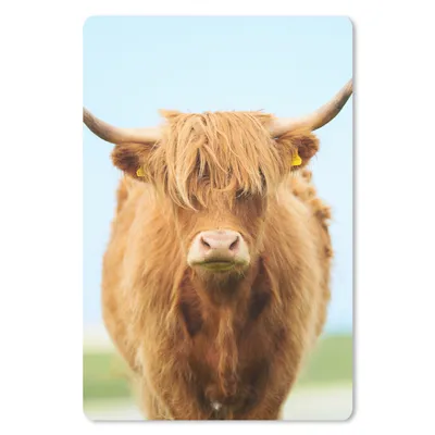 Produktbild von MuchoWow® Mauspad Mousepad Schottischer Highlander - Haare - Gras 18x27 cm - Mousepads - Maus Mat - Pad - Mausunterlage