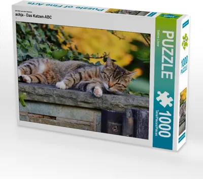 Produktbild von CALVENDO Puzzle Ruhende Katze | 1000 Teile Lege-Größe 64x48cm Foto-Puzzle für glückliche Stunden