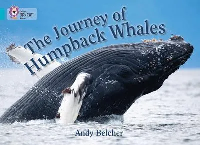Produktbild von The Journey of Humpback Whales