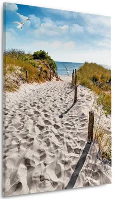 Produktbild von Wallario Premium Leinwandbild Möwen auf dem Weg zum Strand in Größe 60 x 90 cm