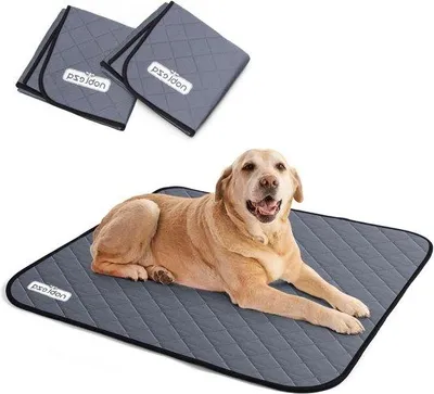 Immagine prodotto di Tappetini assorbenti per cani, riutilizzabili, L, 81x72 cm, tappetini per l'addestramento