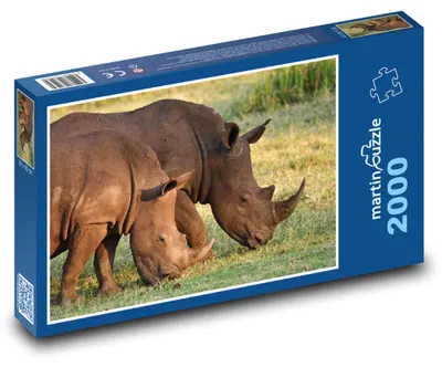 Obrázok produktu pre Puzzle 2000 Nosorožec tuponosý v prírode - martinpuzzle