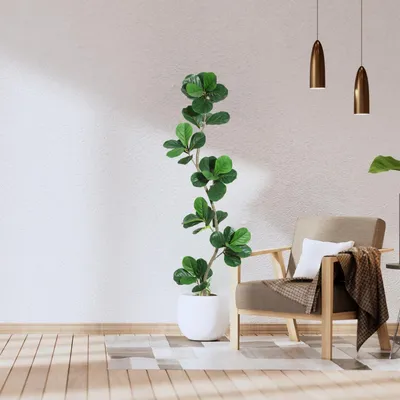 Obrázok produktu pre GarveeHome, umelá figovník "Geigenblatt", výška 180 cm, dekoratívny umelý figovník