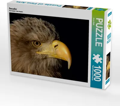Produktbild von Calvendo Seeadler 1000 Teile Puzzle quer 640x480mm, Klatt Arno; 7292934