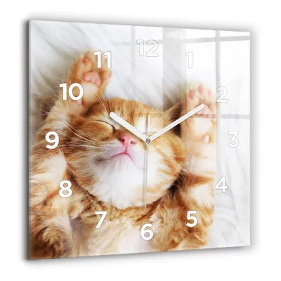 Produktbild von Wallfluent Große Wanduhr – Stilles Quarzuhrwerk - Uhr Dekoration Wohnzimmer Schlafzimmer Küche - Zifferblatt - weiße Zeiger - 60 cm - Schlafende kleine Katze