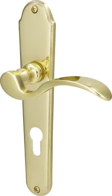 Produktbild von Südmetall Türgriff-Garnitur Langschild Panda PZ Messing poliert gold 225 x 45 mm