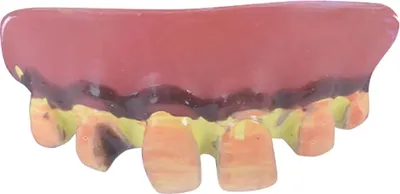 Image de Bristol Novelty - Fausses dents "Dingo" - Plastique BN2922 (Taille unique) (Rouge)