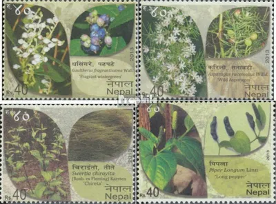 Produktbild von Briefmarken Nepal 2013 Mi 1117-1120 (kompl.Ausg.) postfrisch Pflanzen