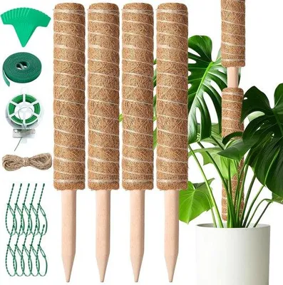 Produktbild von Klettergestell für Zimmerpflanzen - 4 Stücke - 41 cm - für Kletterpflanzen