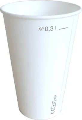 Produktbild von Braun & Company Pappbecher 0,3 L By Nature 10 Stück