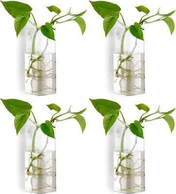 Produktbild von 4-teiliges Set aus Kristallglas-Wandvase, Pflanzgefäß, Terrarium und Blumentopf