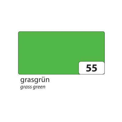 Produktbild von folia Tonpapier (B)500 x (H)700 mm 130 g/qm grasgrün 10 Blatt