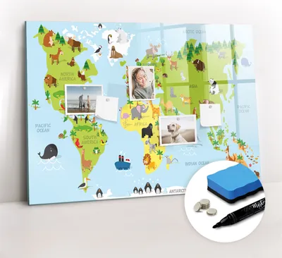 Produktbild von Magnetpinnwand Memoboard - Zubehörsatz - Schwarzer Marker + Schwamm + Magnete - 100 x 70 cm - Weltkarte mit Tieren