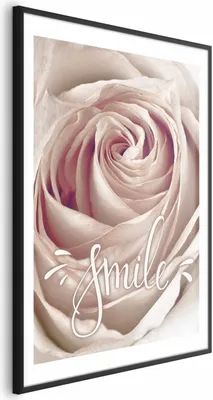 Produktbild von Posterpapier Poster - Smile! 60x90 cm Blumen m-C-0303-ao-a