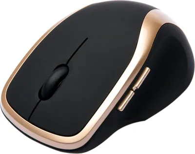 Image de CONNECT IT souris laser sans fil WM2200 or