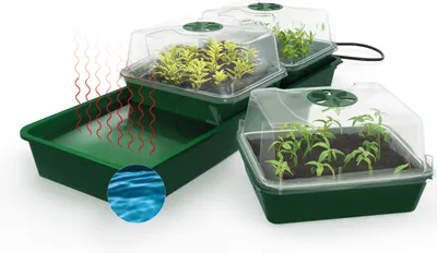 Produktbild von BioGreen Beheizter Anzuchtkasten "Hollandia" mit den Maßen L 54 x B 21 x H 17 cm