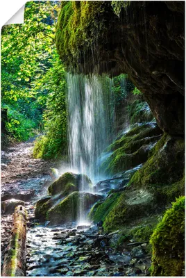 Produktbild von ARTland Poster Moosbedeckter Wasserfall Größe: 80x120 cm