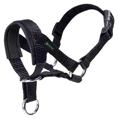 Produktbild von Hundebekleidung mit gefüttertem Stoff für kleine und mittelgroße Hunde