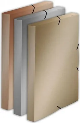 Immagine prodotto di Scatola in PP con gomma A4 Argento metallizzato
