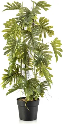 Produktbild von artplants.de Künstlicher Philodendron selloum FLENTO, Dekotopf, Luftwurzeln, 80cm - Kunstpflanze